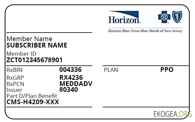 Carte d'assurance maladie du New Jersey